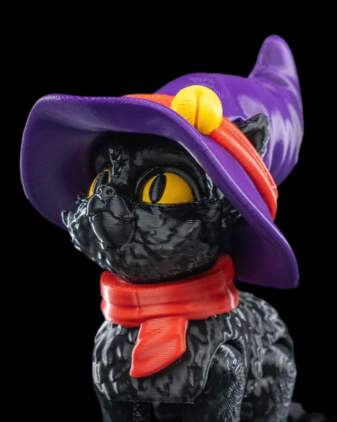 Halloween Cat in a Hat