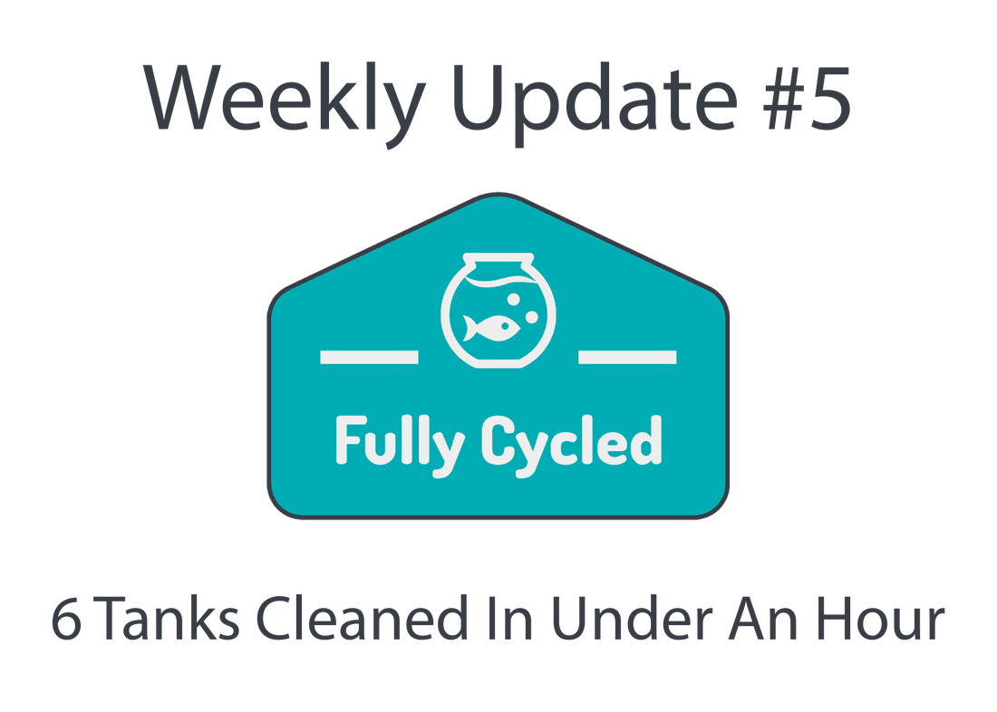 Weekly Update #5 - 6 Tanks cleaned in under an hour!