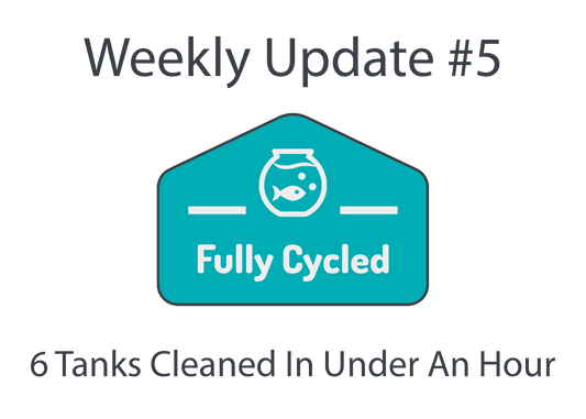 Weekly Update #5 - 6 Tanks cleaned in under an hour!