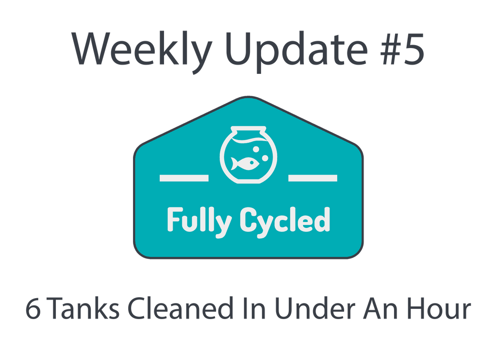 Weekly Update #5 - 6 Tanks cleaned in under an hour!