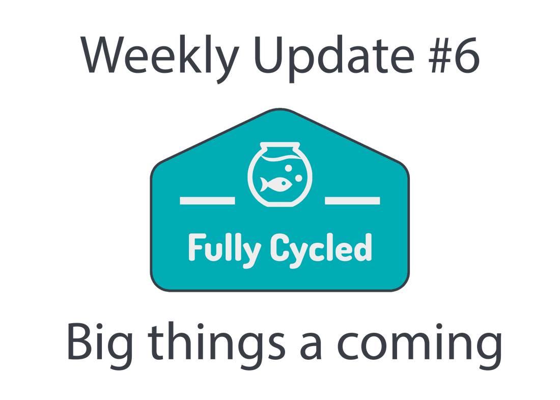 Weekly Update #6 - Big things a coming