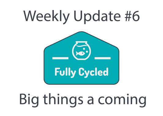 Weekly Update #6 - Big things a coming