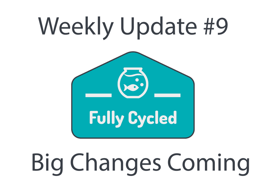 Weekly Update #9 - Big changes are coming