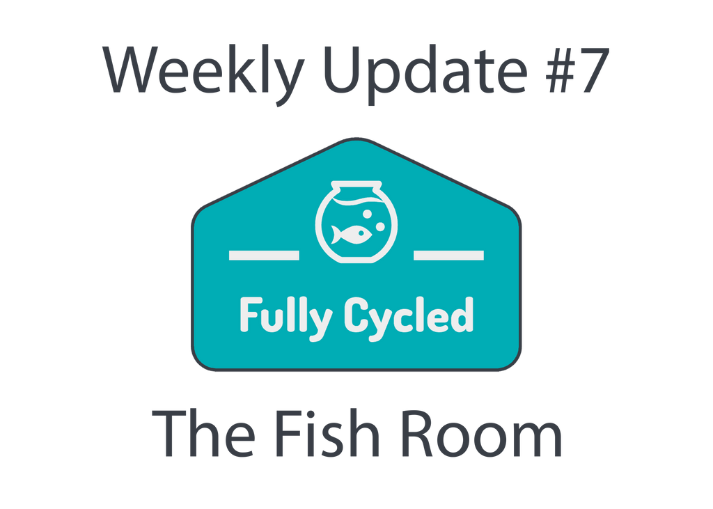 Weekly Update #7 - The Fish Room