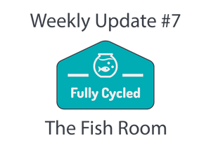 Weekly Update #7 - The Fish Room