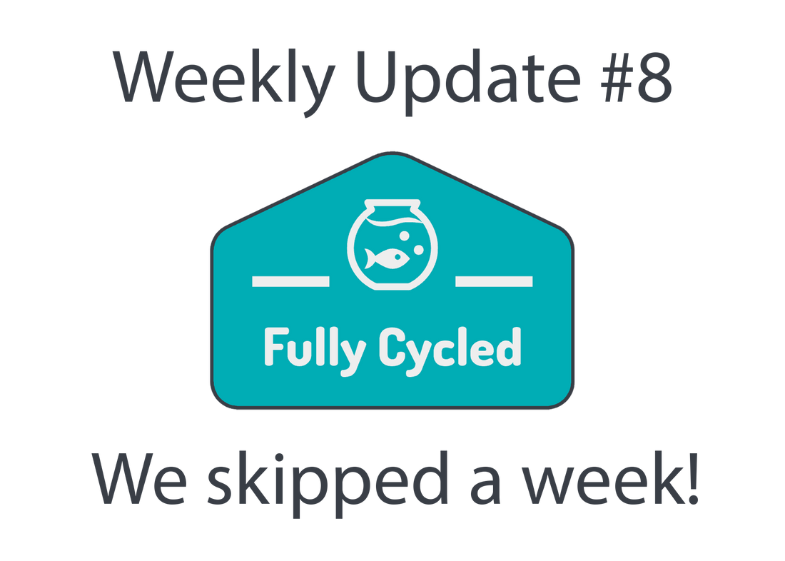 Weekly Update #8 - We skipped a week!