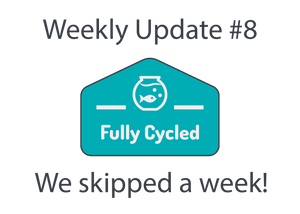 Weekly Update #8 - We skipped a week!