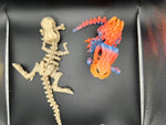 Articulated Fidget Skeleton T-Rex Dinosaur - Perfect for Collecting and Display - Flexi Factory