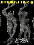 Minotaur Gladiator With Helmet - Rocket Pig Games