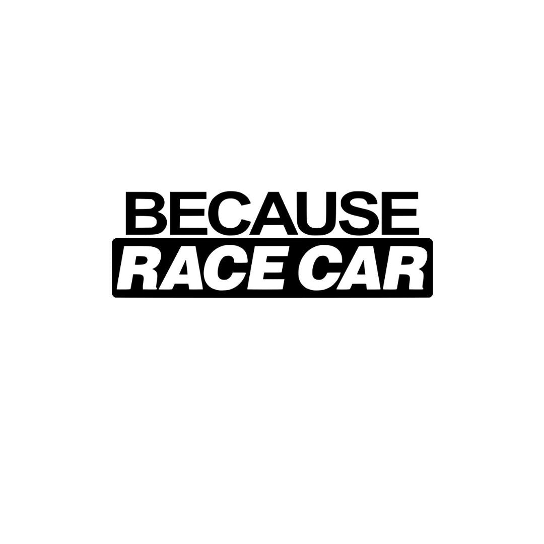 Because Racecar Vinyl Decal